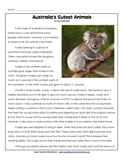 Nonfiction Articles  - Koala