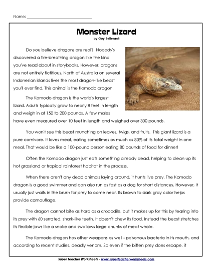 Reptiles - Komodo Dragons