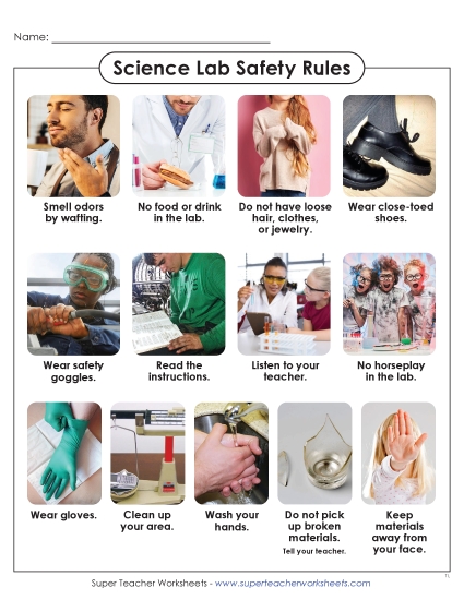 Lab Safety Rules - Lab Safety Rules Anchor Chart (Printable PDF Worksheet)
