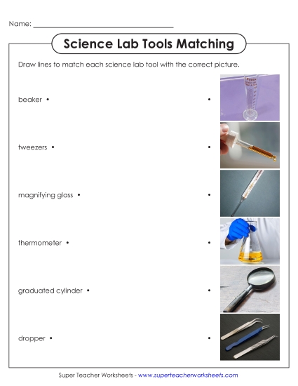 Lab Tools - Lab Tools Matching Activity (Printable PDF Worksheet)