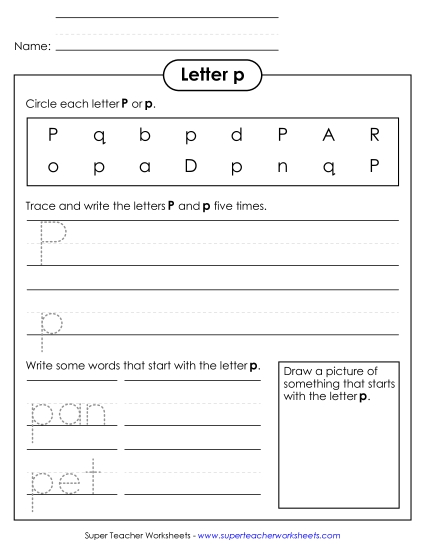 Worksheets - Letter P p - Practice Sheet