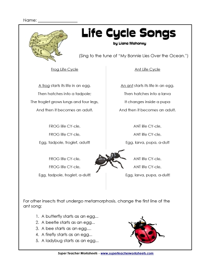 Songs - Life Cycle Song Activity Songs - Life Cycle Song Activity