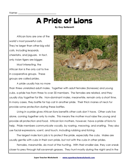 Mammals - Lions