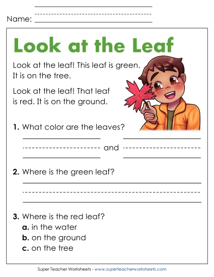 Reading Comprehension and  Additional ELA Skills - Look at the Leaf