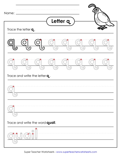 Trace and Print - Lowercase q (Outlined Letters) Trace and Print - Lowercase q (Outlined Letters)