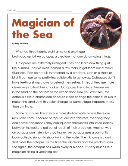Nonfiction Articles - Magician of the Sea Nonfiction Articles - Magician of the Sea