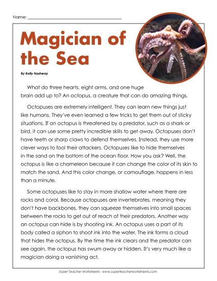 Reading Comprehension - Magician of the Sea Article about Octopus Reading Comprehension - Magician of the Sea Article about Octopus