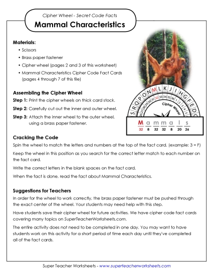 Cipher Wheels Vertebrate Characteristics - Mammal Characteristics: Cipher Wheel Facts Cipher Wheels Vertebrate Characteristics - Mammal Characteristics: Cipher Wheel Facts