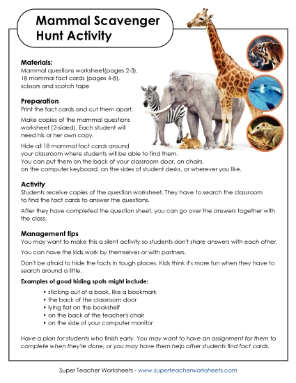 Mammal Scavenger Hunt Mammal Scavenger Hunt