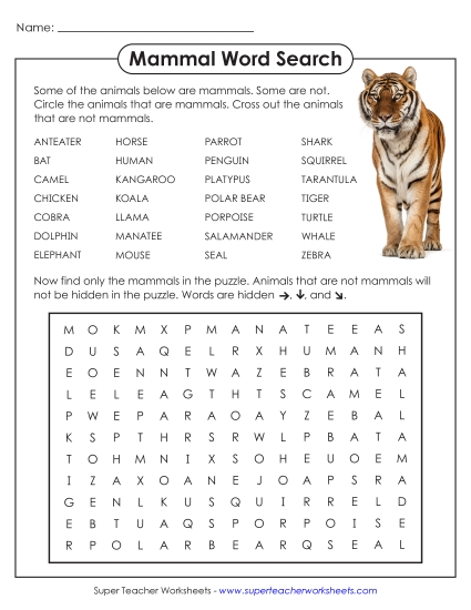 Animal Group Word Searches - Mammal Word Search