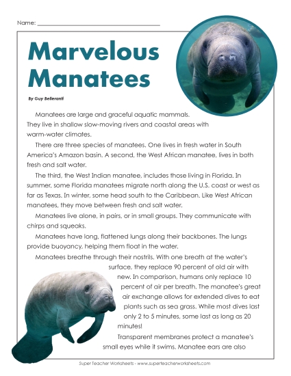 Reading Comprehension - Marvelous Manatees Reading Comprehension - Marvelous Manatees