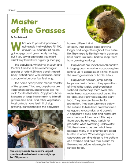 Nonfiction Articles - Master of the Grasses Nonfiction Articles - Master of the Grasses