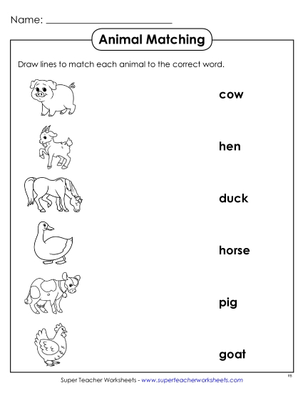 Worksheets and Activities - Matching Worksheet