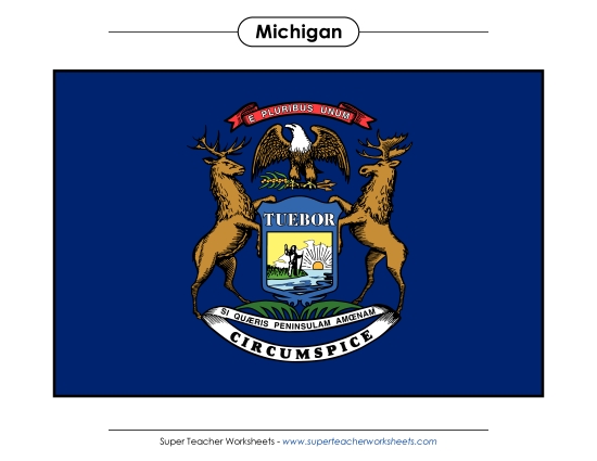 Flags & Seals - Michigan State Flag (Full-Color Version) Flags & Seals - Michigan State Flag (Full-Color Version)