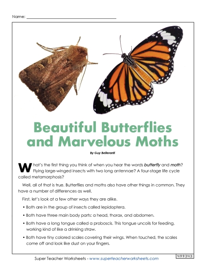 Reading Passages - Moths and Butterflies: Compare/Contrast Reading Passages - Moths and Butterflies: Compare/Contrast
