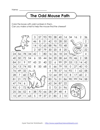 Mouse Path Mouse Path