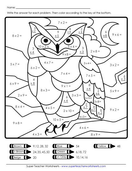 Owl Math Mystery Pictures - Multiplication Owl Mystery Picture