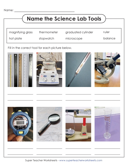 Lab Tools - Name the Tools (Printable PDF Worksheet)