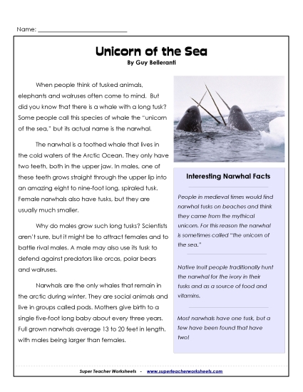Reading Comprehension - Narwhals