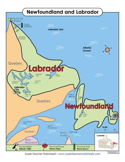 Maps - Newfoundland and Labrador Map (Full Colour)