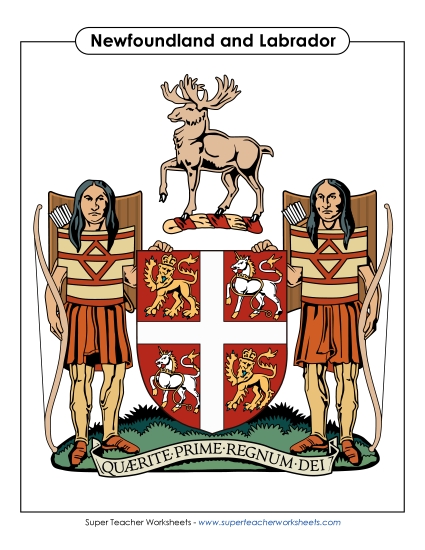 Flag and Coat of Arms - NL Coat of Arms (Full Colour)