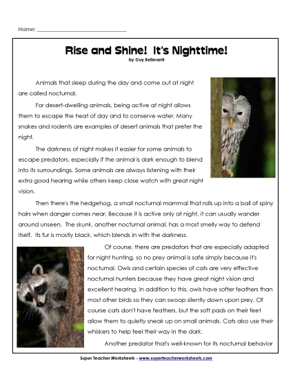 Owl Reading Comprehension - Nocturnal Animals Owl Reading Comprehension - Nocturnal Animals