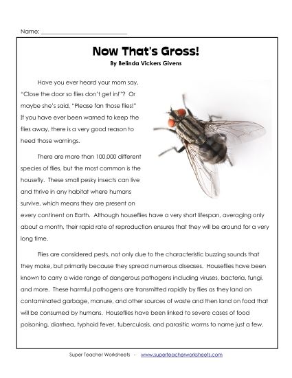 Greek Gods Series - Now That's Gross! Greek Gods Series - Now That's Gross!