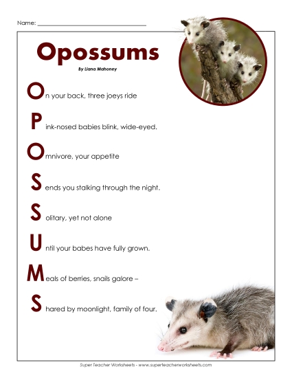 5th Grade Poems - Opossum 5th Grade Poems - Opossum