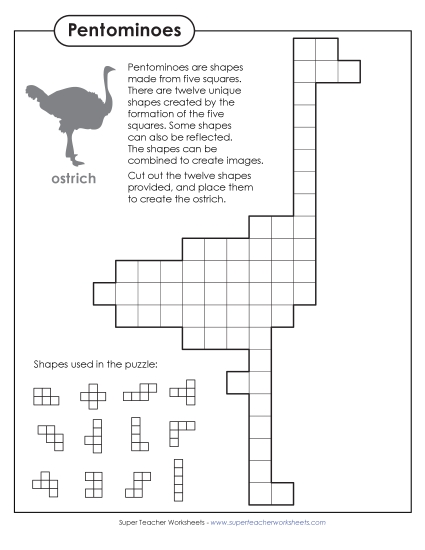 Ostrich Pentomino Puzzle (Printable PDF Worksheet)