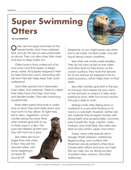 Mammals - Otters