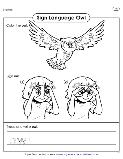 Animals - Owl (Printable PDF Worksheet)