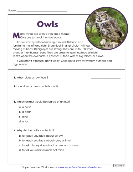 Short Passages - Owls (Short, Nonfiction) Short Passages - Owls (Short, Nonfiction)