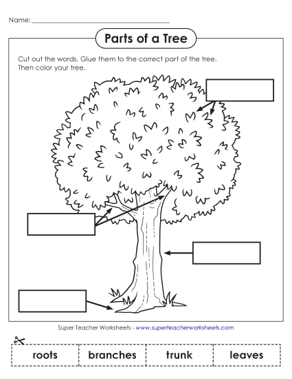 Cut & Paste Activities - Parts of a Tree Cut & Glue (Printable PDF Worksheet)