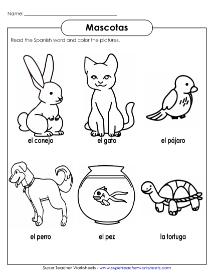 Pets (Mascotas) - Pet Pictures