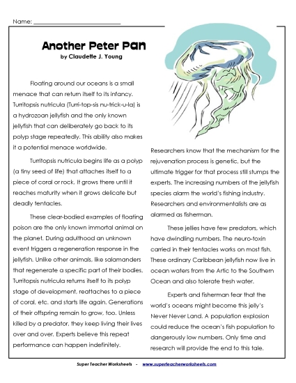 Other Animals - Peter Pan Jellyfish Other Animals - Peter Pan Jellyfish