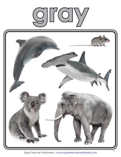 Gray - Photo Anchor Chart (Gray) Gray - Photo Anchor Chart (Gray)