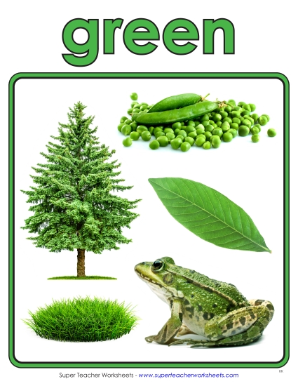 Green - Photo Anchor Chart (Green)