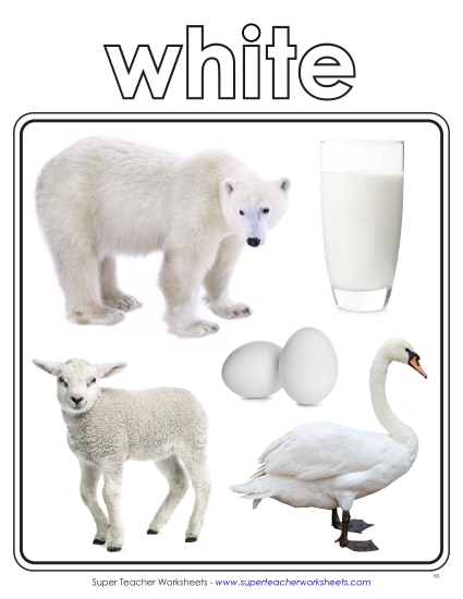 White - Photo Anchor Chart (White)