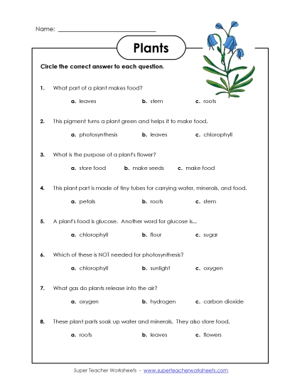 Plant Worksheets (Intermediate) - Plant Questions Plant Worksheets (Intermediate) - Plant Questions