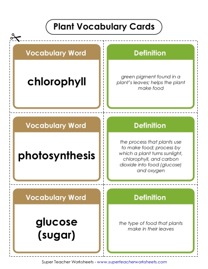 Plant Worksheets (Intermediate) - Plant Vocab Cards (Intermediate) Plant Worksheets (Intermediate) - Plant Vocab Cards (Intermediate)