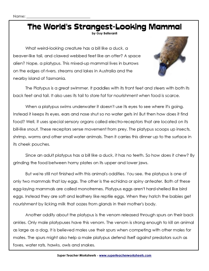 Nonfiction Articles - Platypus Nonfiction Articles - Platypus