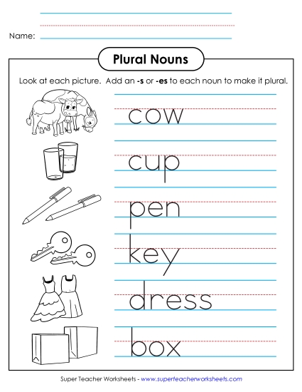Singular & Plural Nouns - Plural Nouns (Basic) Singular & Plural Nouns - Plural Nouns (Basic)
