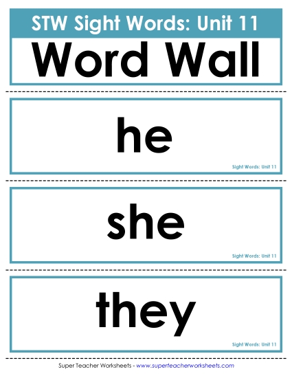 Reading Practice Tools - Pocket Chart or  Word Wall (Unit 11)