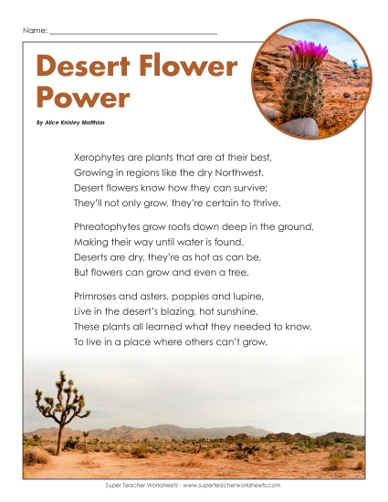 Poems - Poem: Desert Flower Power Poems - Poem: Desert Flower Power
