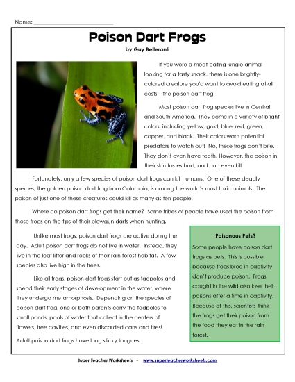 Amphibians - Poison Dart Frogs Amphibians - Poison Dart Frogs