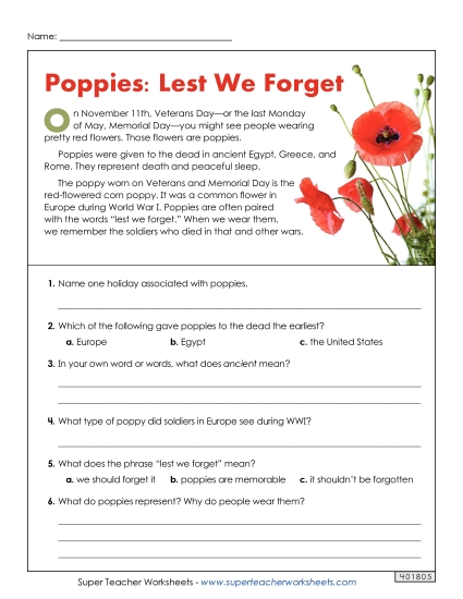 Reading Comprehension - Poppies (Short Article)