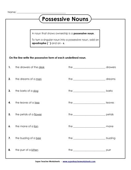 Singular Possessive Only (Basic) - Possessive Nouns
