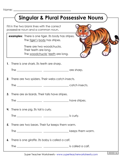 Singular & Plural Possessive - Possessive Nouns - Singular and Plural