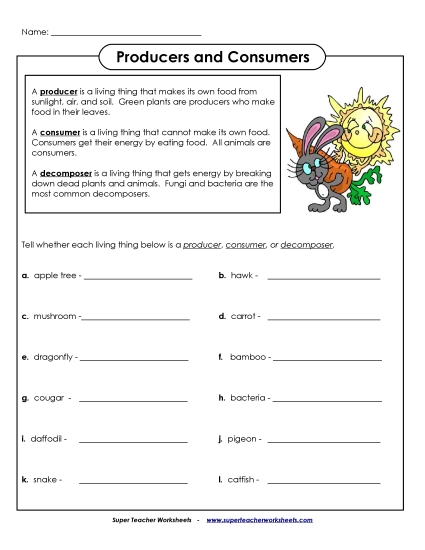 Food Chain Worksheets - Producers, Consumers, and Decomposers Food Chain Worksheets - Producers, Consumers, and Decomposers
