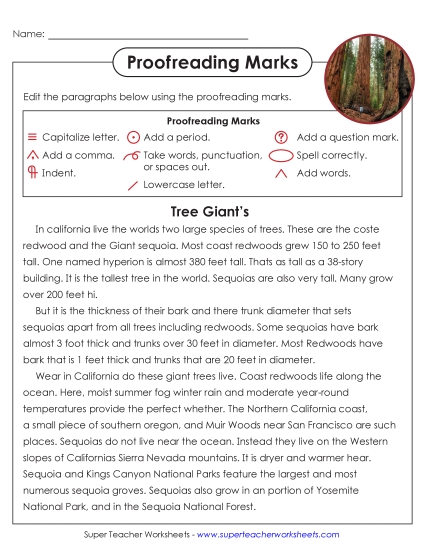 Advanced Editing Passages (5th–8th Grade) - Proofreading: Tree Giants (Printable PDF Worksheet)